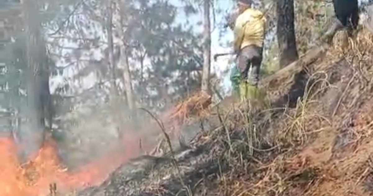 Relawan Gabungan Perkuat Sekat Api di Gunung Lawu, 325 Personel Disiagakan di Empat Posko
