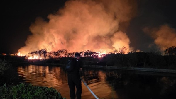 POJ City Buka Suara soal Kebakaran Lahan Dekat Mal 23 Semarang, Ungkap Fakta Ini