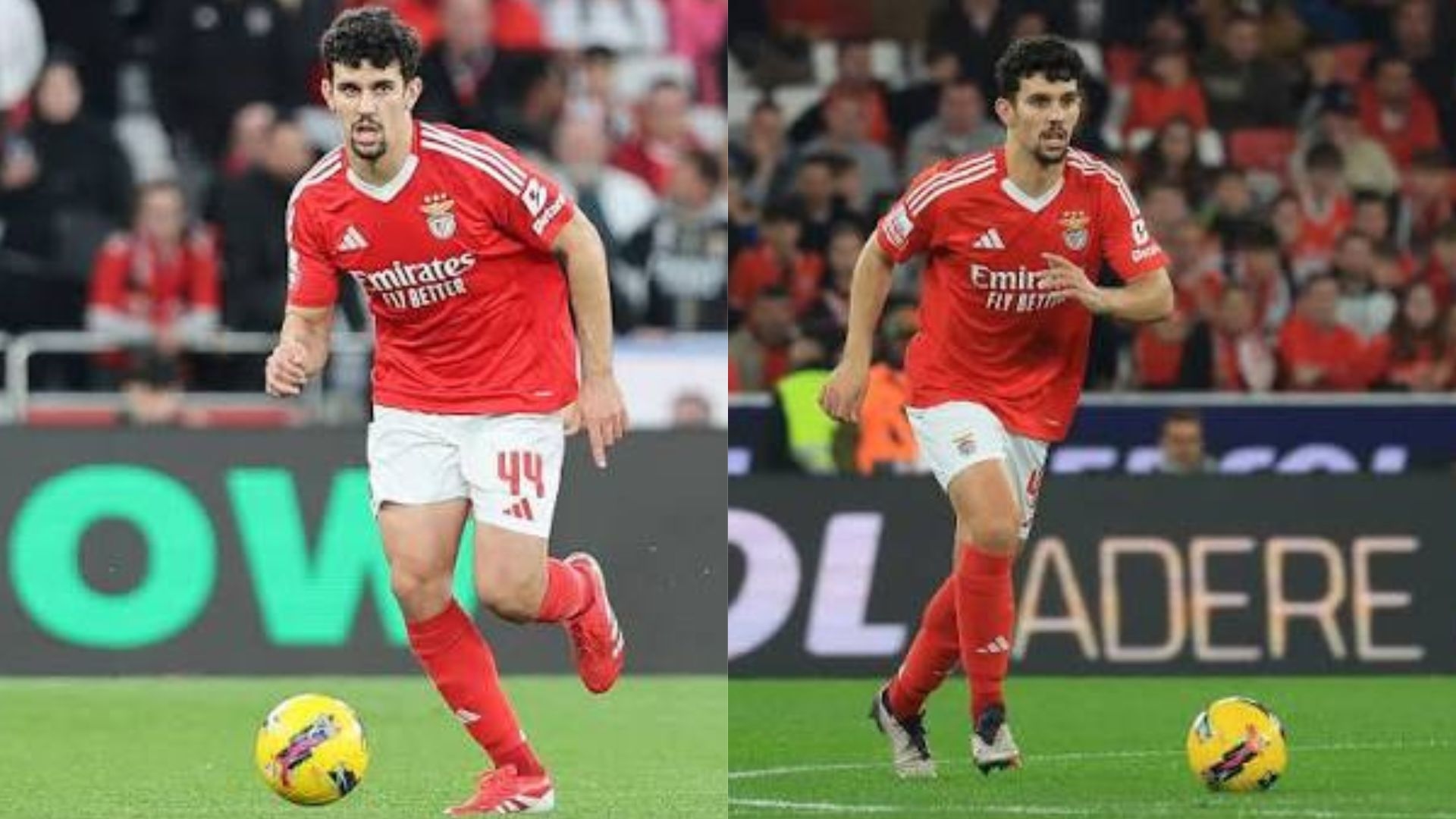 Bayern Munich Incar Tomás Araújo, Tapi Tunggu Kepastian Kim Min-Jae