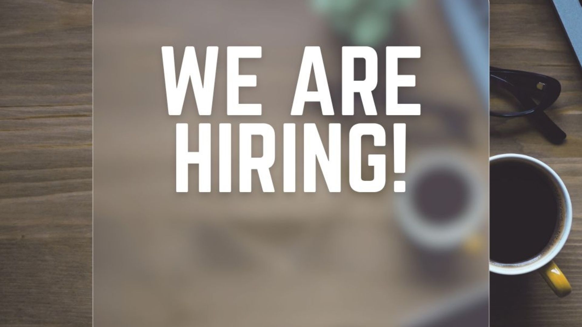 Sesa Creative Buka Lowongan Social Media Specialist, Content Creator, dan Graphic Designer di Semarang