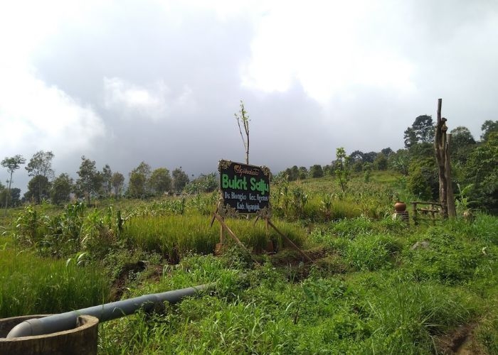 Menikmati Keindahan Alam Nganjuk  dengan Berwisata di Bukit Salju Ngetos