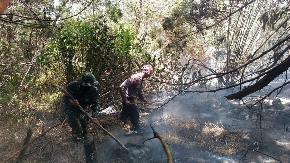 Update Kebakaran Hutan Lereng Gunung Sumbing Sabtu 2 September 2023, Titik Api Sudah Padam