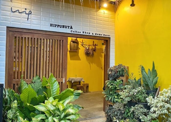 Hippusuta Cafe, Cafe di Solo yang Mengusung Tema Japanese Bohemian