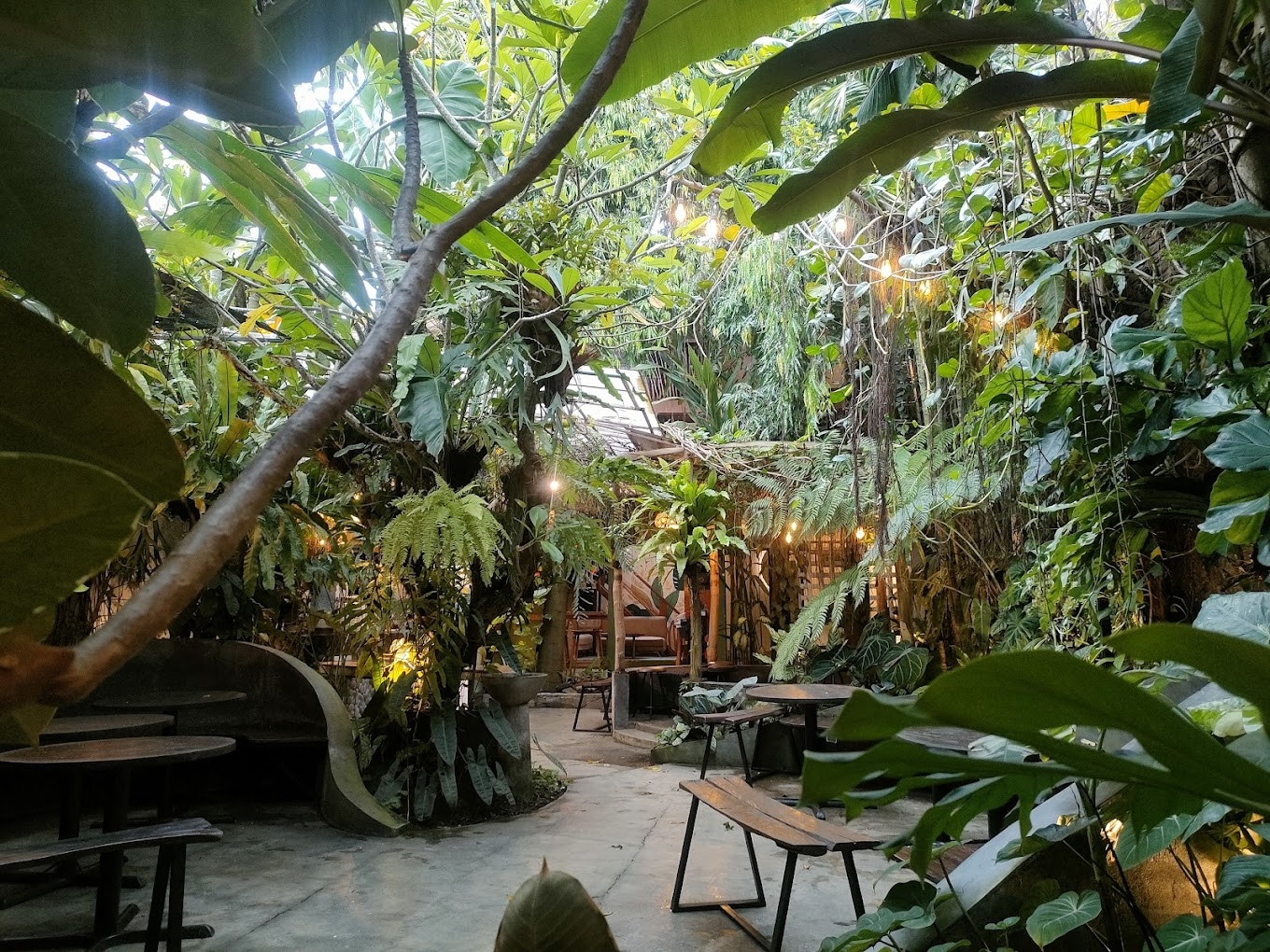 Daftar 5 Cafe dan Resto yang Memiliki Nuansa Alam yang Ada di Yogyakarta