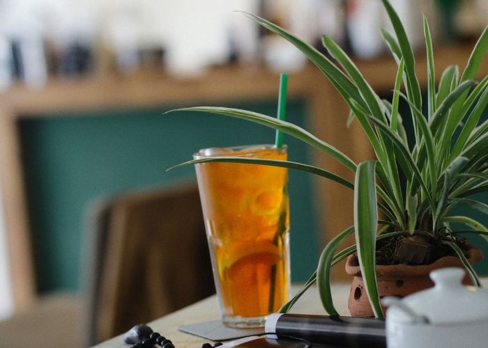 Minum Es Teh Dengan Kadar Gula Berlebihan Mengancam Kesehatan