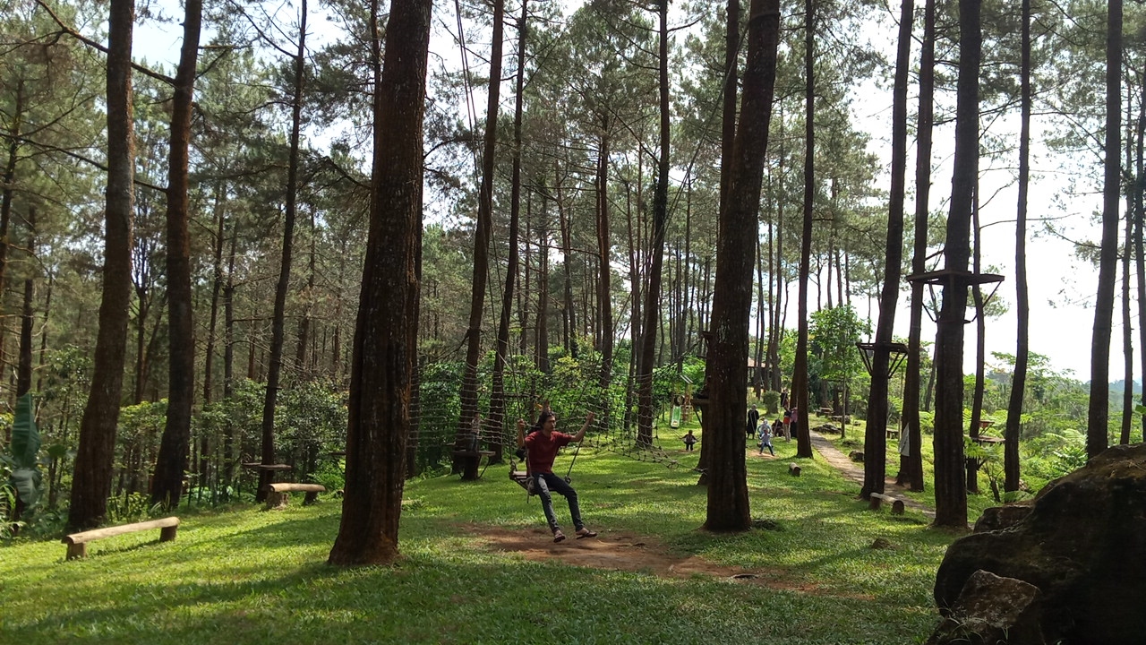 5 Rekomendasi Wisata Alam di Purworejo, Ternyata Ada Pantainya Juga Lho!