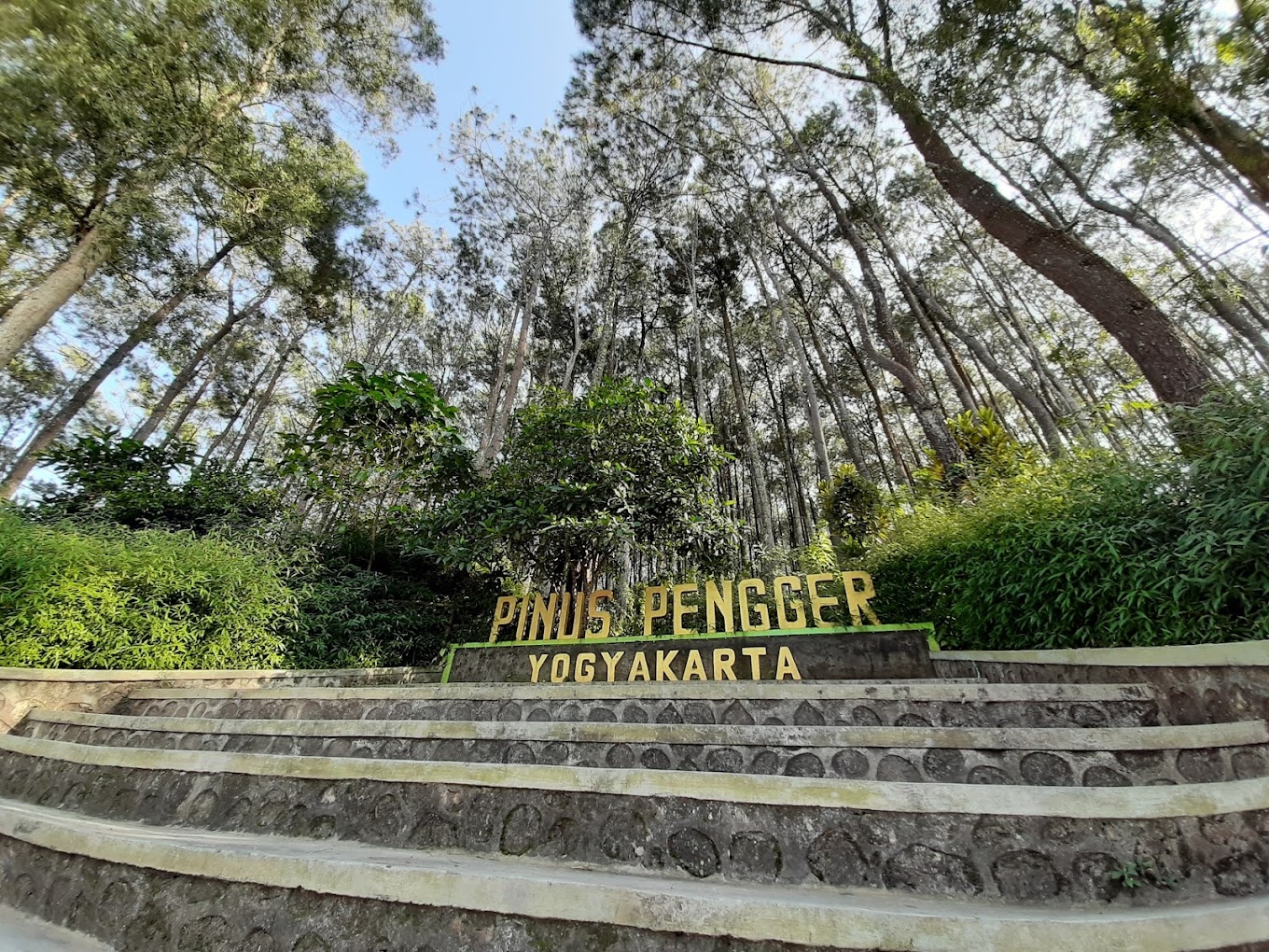 Mencari Spot Foto yang Instagramable di Yogyakarta, Bisa Mampir ke Hutan Pinus Pengger