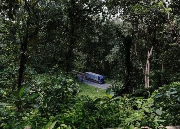 Menguak Misteri Alas Roban: Penggalan Sejarah dan Cerita Mistis yang Menyelimuti Jalur Pantura Jawa 