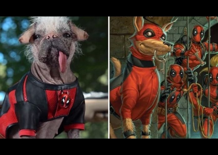 Marvel Studios Menyiapkan Kejutan dengan Deadpool 3: Perkenalan Dogpool sebagai "Sidekick"