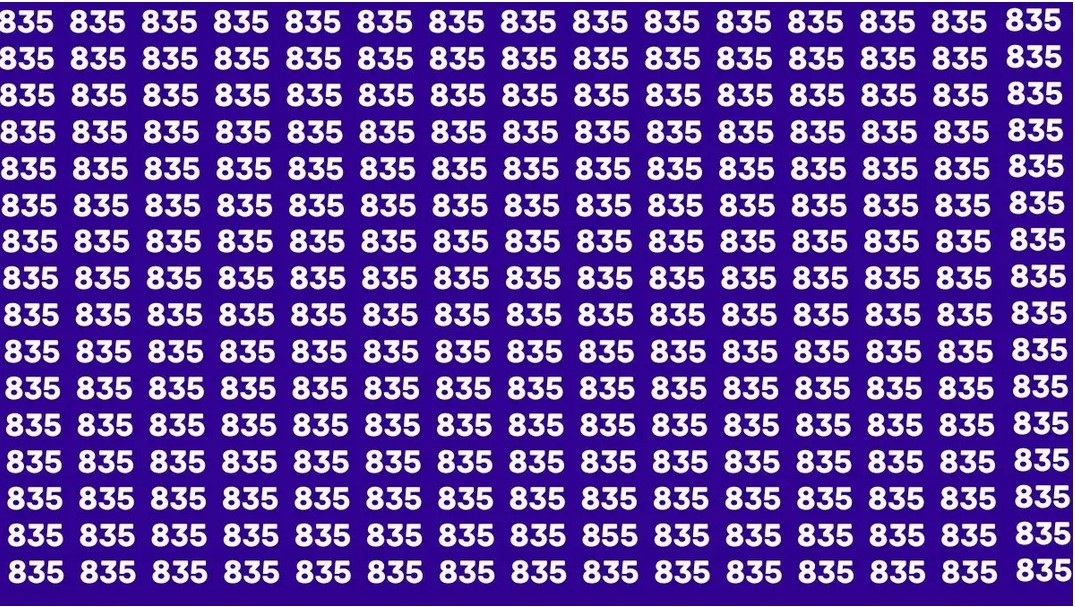Pesona Ilusi Optik: Temukan Angka Sulit 855 Diantara Angka 835 Dalam Waktu 6 Detik, Apa Kamu Sanggup?