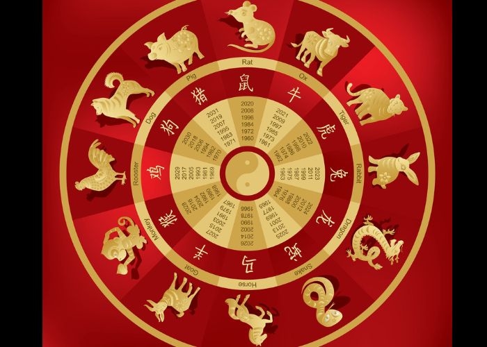 6 Shio Ini Diprediksi Akan Kaya Di Tahun Ular Kayu 2025