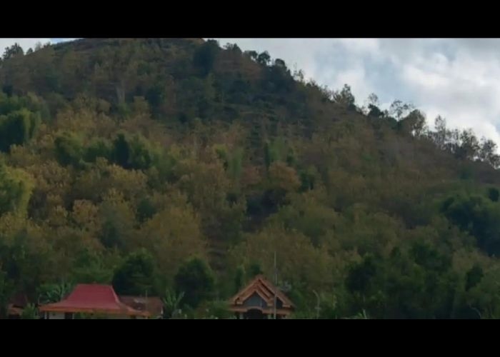 Misteri Tersembunyi Dibalik Gunung Dloko: Jejak Mistis Istana Ratu Jin dan Pesona Keangkerannya