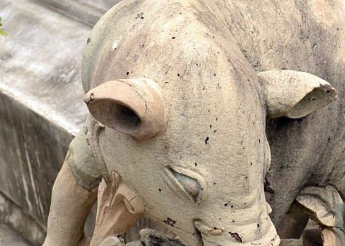 Misteri dan Mitos Batu Babi di Senggarang, Tanjung Pinang: Legenda dari Pulau Penyengat