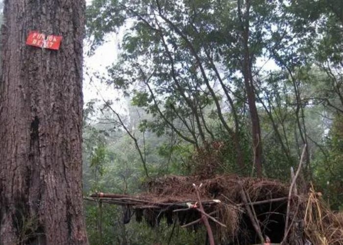 Misteri Pos Pondok Demit di Gunung Raung: Keramaian Pasar Setan di Puncak Tinggi Jawa Timur