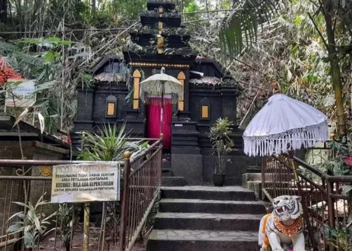 Misteri yang Menyelimuti Rowo Bayu: Jejak Prabu Tawang Alun dan Kisah Mistis Desa Penari