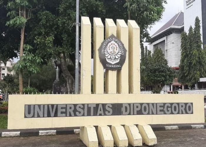 Mengetahui Keketatan Tiap Jurusan di Universitas Diponegoro 2024: Pilihan Bijak Dalam Memilih Jurusan