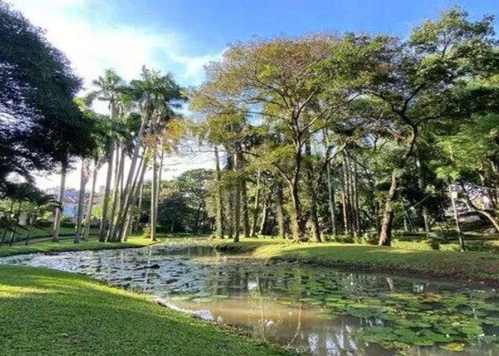 Misteri Malam Taman Langsat Mayestik Jakarta Selatan: Legenda Urban yang Menantang
