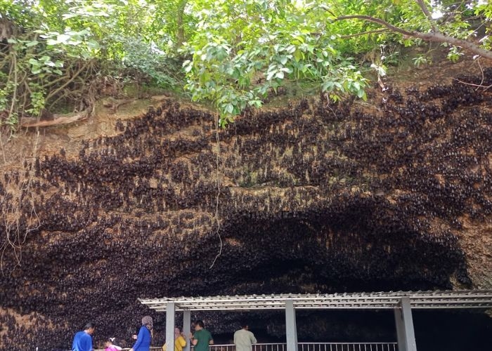 Menggali Pesona Misteri Gua Ngerong Tuban: Antara Mitos yang Menyelimuti dan Juga Kearifan Lokal yang Masih Terjaga
