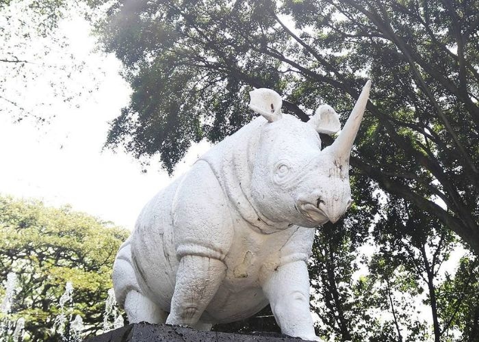 Mengenang Sejarah Kehadiran Badak di Bandung: Sebuah Kenangan yang Hampir Punah