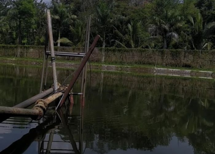 Misteri dan Kisah Mistis Dibalik Puntuk Suruh, Purbalingga: Ketika Keindahan Alam Bertemu dengan Dunia Gaib