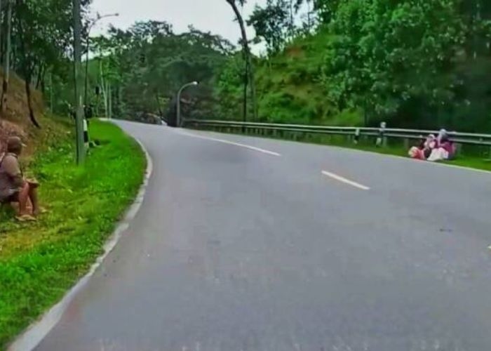 Mengungkap Misteri serta Mitos Jalur Maut Krumput Banyumas: Legenda dan Realitas di Balik Kepercayaan Masyarakat Lokal