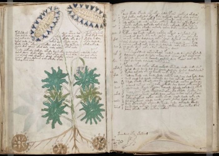 Sejarah dan Asal Usul dari Manuskrip Voynich: Misteri Abad Pertengahan yang Hingga Sekarang Belum Terpecahkan