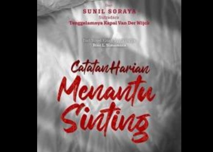 Sinopsis Film Catatan Harian Menantu Sinting: Kisah Komedi Romantis yang Menggelitik