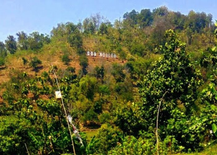 Mengintip Misteri yang Mendiami Goa Ndalem: Keindahan Alam dan Cerita Gaib di Pelukan Gunung Wilis