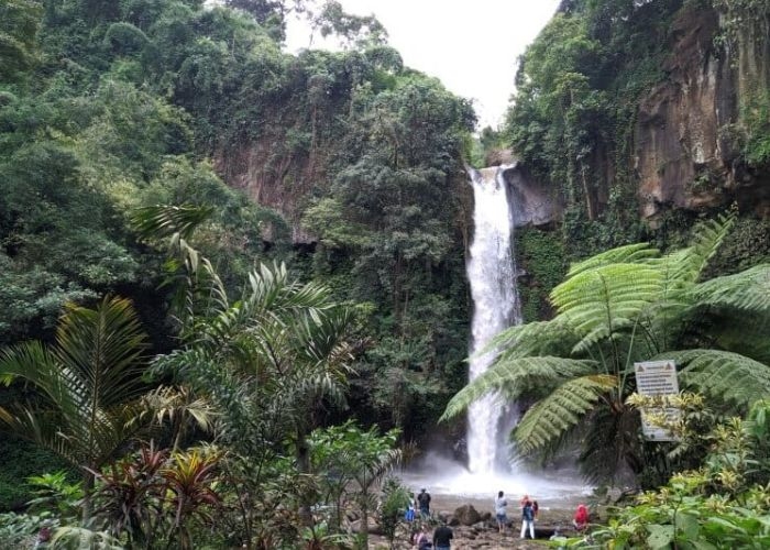 Ulasan Singkat Mengenai Coban Jahe Tumpang: Destinasi Wisata Keluarga dan Sejarah di Malang