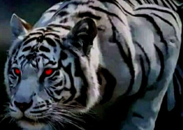Mengenal Khodam dalam Mitologi Jawa Mulai dari Asal Usul, Jenis Khodam Hingga Cara Mendeteksi Seseorang yang Memiliki Khodam