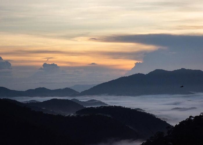 Menelusuri Jejak Misteri Kaeng Krachan: Kisah Angker Roh Hutan yang Berbisik serta Feng Shui yang Buruk seperti Mitos Segitiga Bermuda