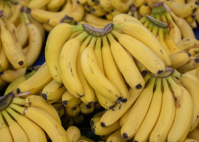 RAHASIA TERBONGKAR! 5 Tips Ampuh Buat Memilih Pisang Matang Sempurna yang Tidak Pernah Anda Ketahui!