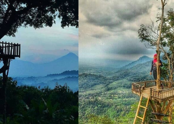 TERSEMBUNYI DI MAGELANG! Temukan Hidden Gems Bukit Barede dengan Pemandangan Apik, Lokasi Terbaik Melihat Candi Borobudur dari Ketinggian