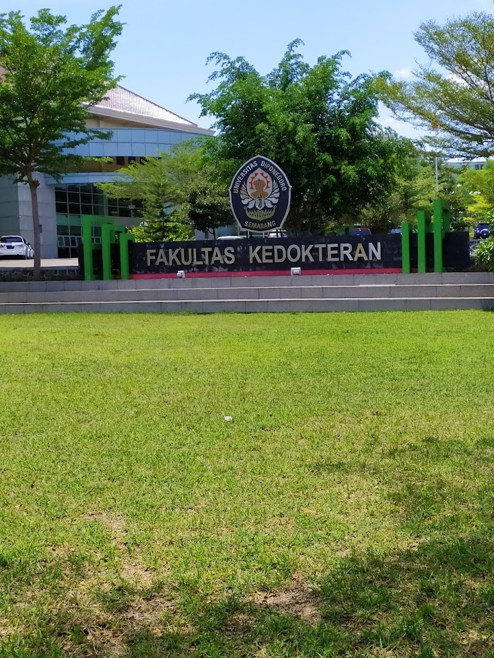 Perkembangan Kasus Perundungan di PPDS Undip : Polisi Periksa 43 Saksi
