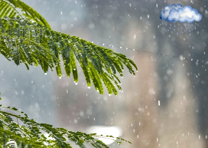 Berikut Prakiraan Cuaca di Lima Kabupaten/Kota Di DIY, Rabu 22 Januari 2025