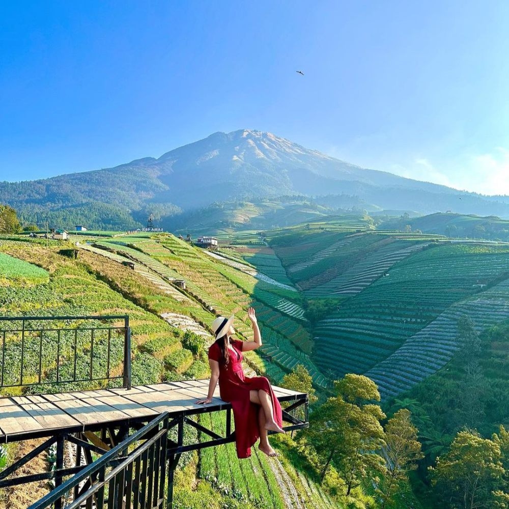 Wisata Desa Nampan Sukomakmur Magelang, Hidden Gem Hamparan Terasering Kebun Sayur di Kaki Gunung Sumbing