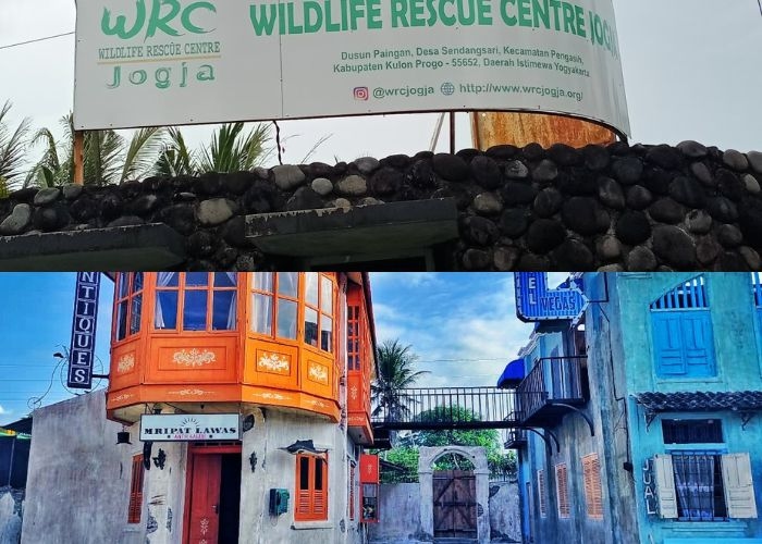 Jogja Vibes! 4 List Wisata Alam dan Edukasi untuk Keluarga di Kulon Progo: Liburan Seru, Murah, dan Ramah Anak!