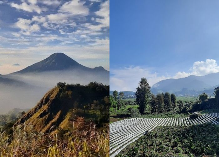 Jateng Vibes! Liburan Akhir Tahun Jadi Makin Seru! 4 Gunung di Dieng Ini Tawarkan Golden Sunrise Spektakuler dan Pemandangan Memukau