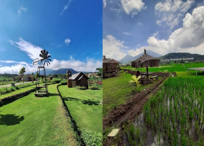 Temukan 4 Café Instagramable di Mojokerto yang Bikin Nongkrongmu Makin Seru dan Kekinian! Nomor 3 Bak di Film Emily in Paris!