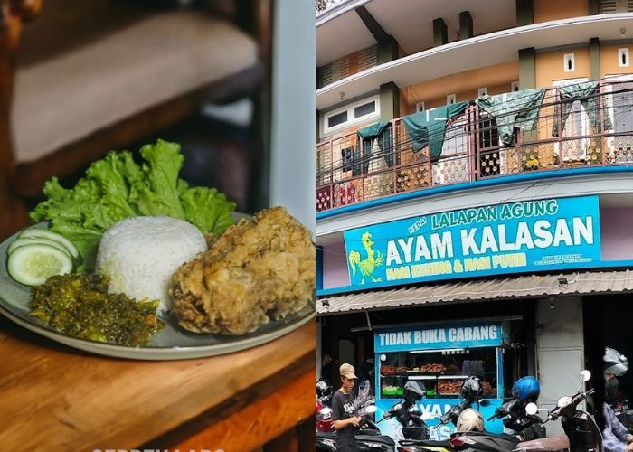 Mencari Tempat Makan Kuliner Lokal Olahan Ayam yang Lezat di Malang? Coba Kunjungi 6 Warung Ayam Berdasarkan Rating Tertinggi Ini