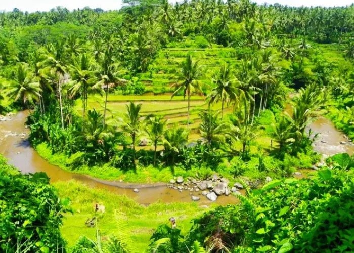 5 Fakta Seru Sungai Ayung Bali yang Bikin Pengalaman Rafting Kamu Nggak Terlupakan!