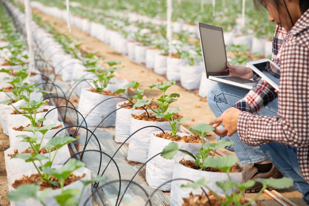 Jurusan Agroteknologi: Masa Depan Pangan Dunia Ada di Tanganmu!