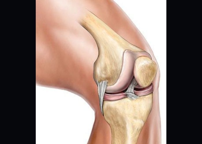 4 Jenis Cedera Ligamen Lutut: Panduan Lengkap Gejala dan Cara Penanganannya