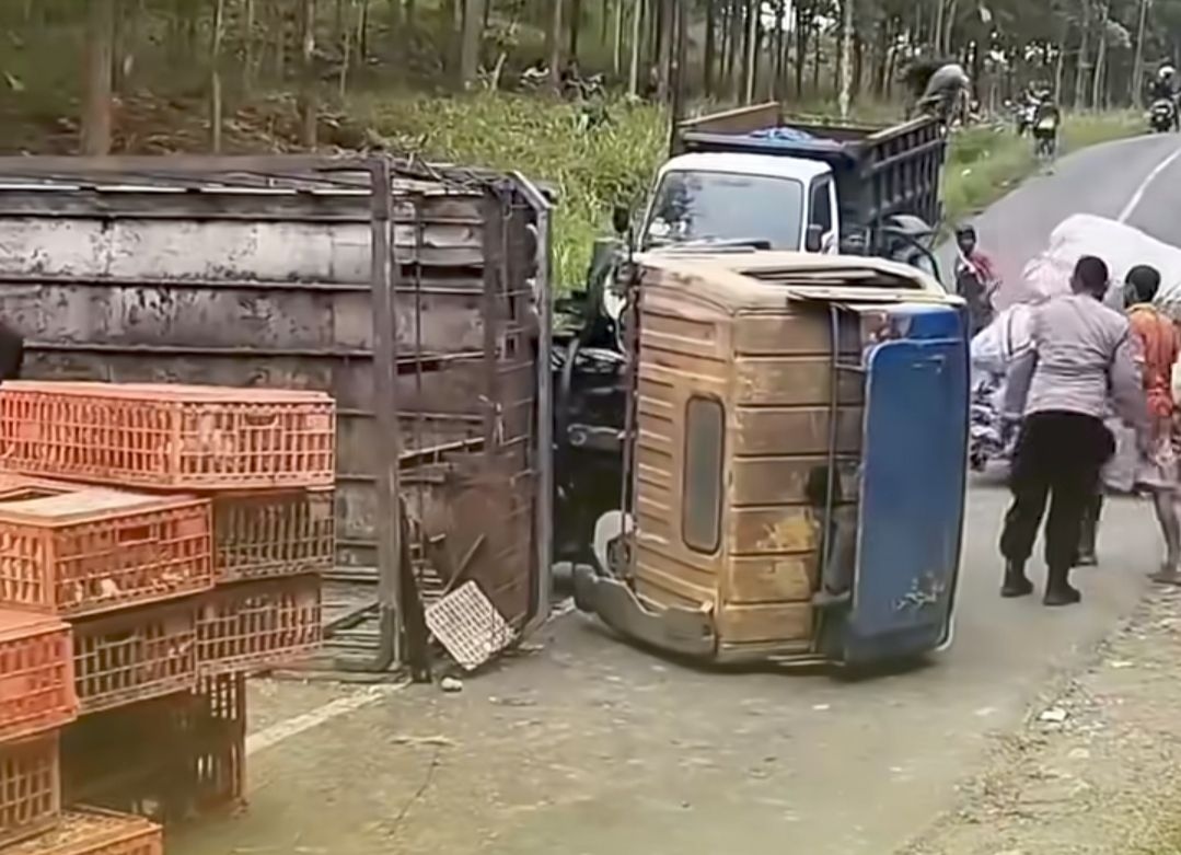 Tak Kuat Nanjak, Truk Muatan Ayam Terguling di Jalan Purwodadi-Pati