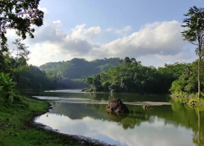 Misteri serta Mitos Ikan Besar dan Buaya Putih di Situ Denuh Tasikmalaya: Kekayaan Kearifan Lokal yang Menarik