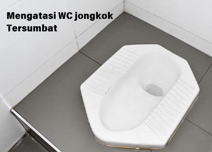Info Seputar Tips! WC Jongkok Tersumbat? Kenali Penyebab serta Cara Mengatasinya serta Tips Kecil Sebelum Panggil Tukang Ledeng!