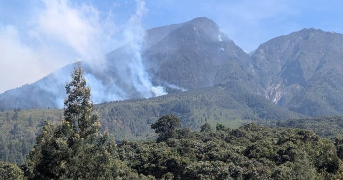 Kebakaran Gunung Lawu Capai 140 Hektare, Bagana dan Relawan terus Berjibaku