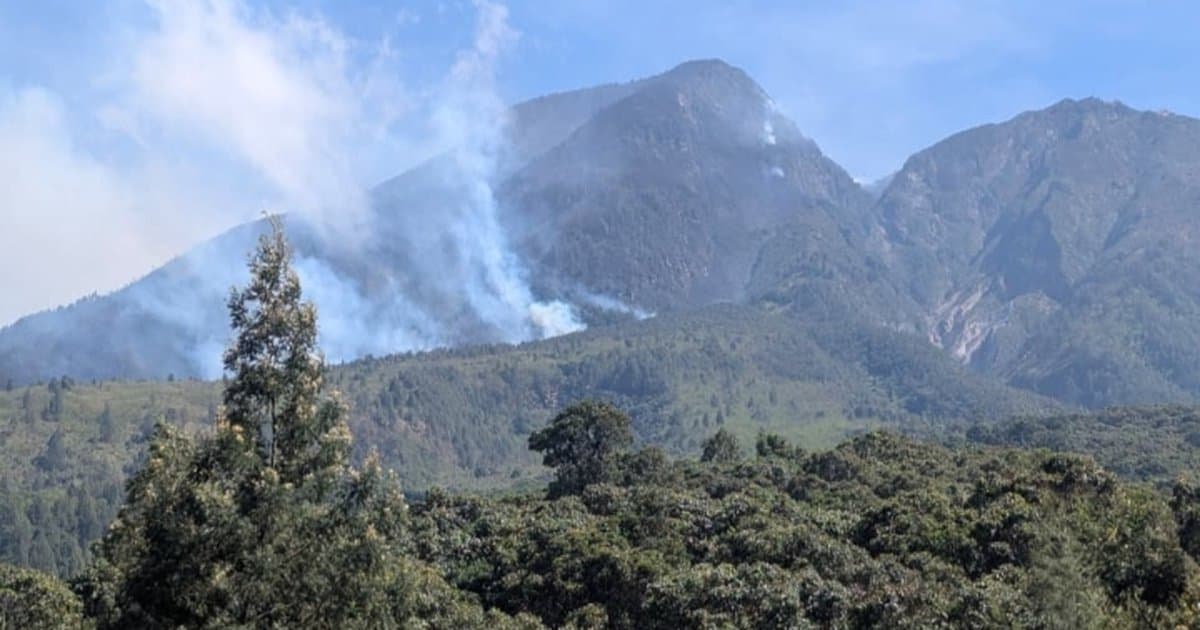 Kebakaran Gunung Lawu Capai 140 Hektare, Bagana dan Relawan terus Berjibaku