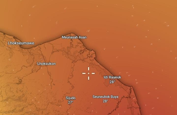 Aceh Dikepung Kabut Asap: BMKG Ungkap Pemicu dan Ancaman Transboundary Haze