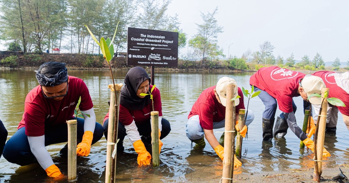Suzuki Gandeng Pandu Laut Nusantara dan Susi Air, Tanam 1.500 Mangrove di Pangandaran, Perkuat Komitmen Jaga Pesisir